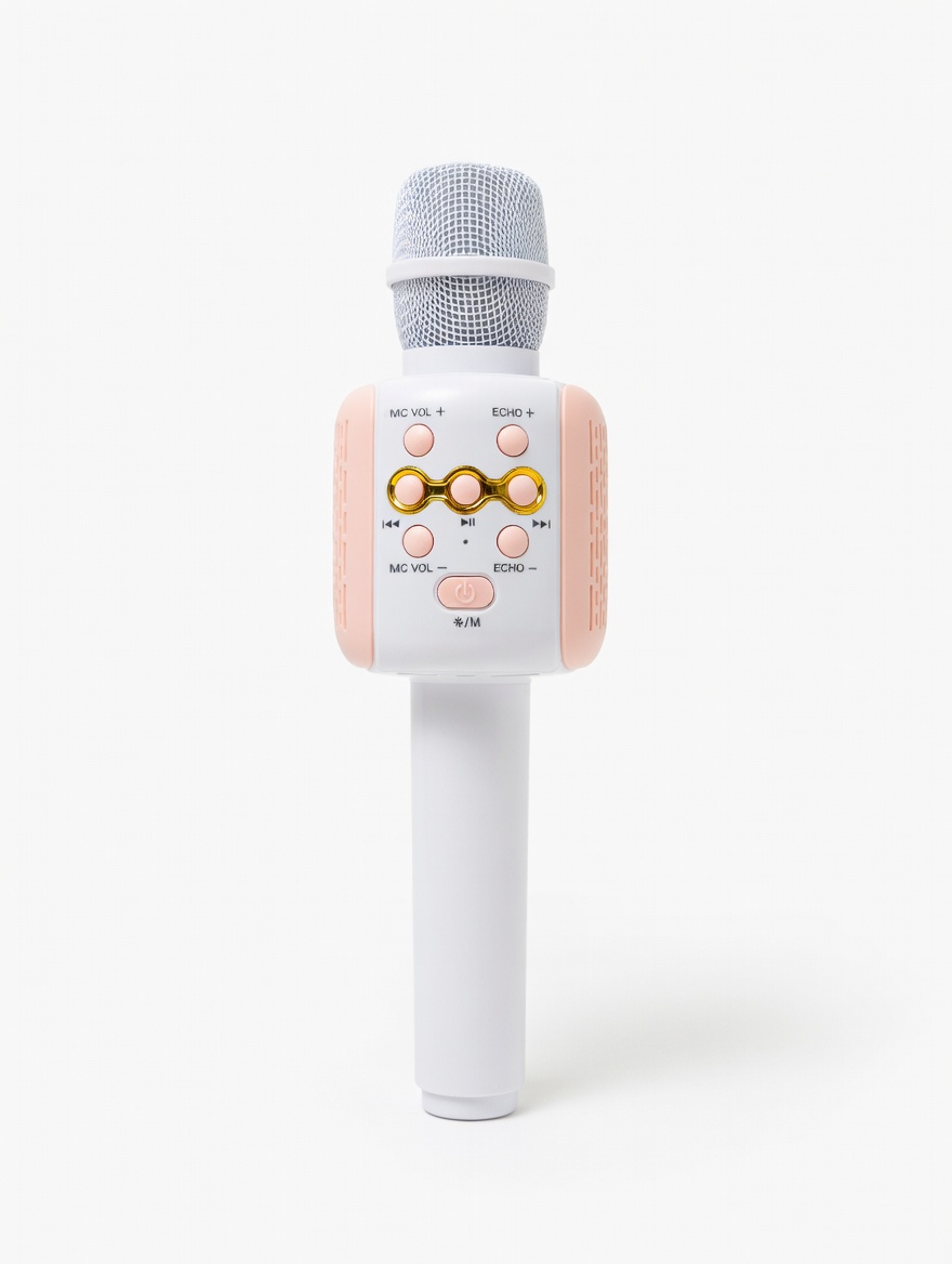 L858 Karaoke Microphone
